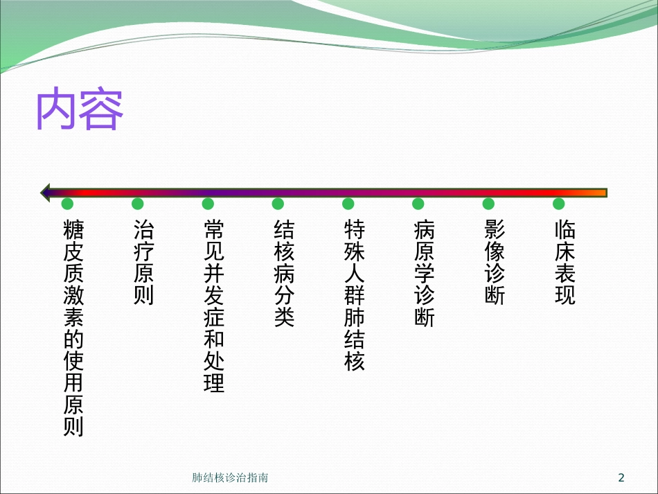 肺结核诊治指南培训课件.pptx_第2页
