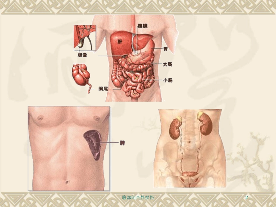 腹部闭合性损伤培训课件.pptx_第2页