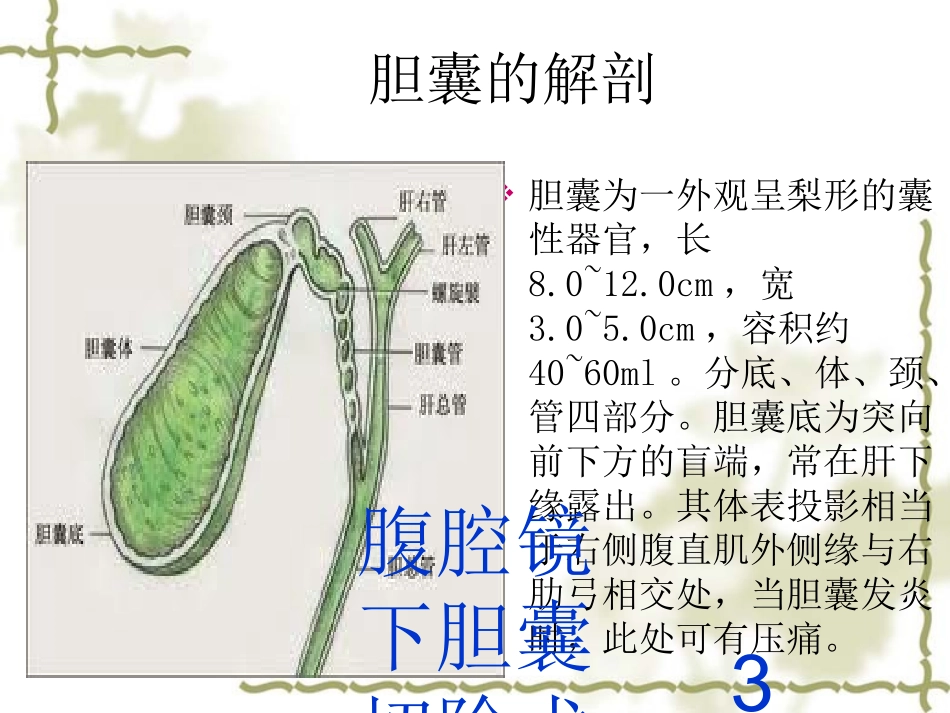腹腔镜下胆囊切除术护理培训课件.pptx_第3页