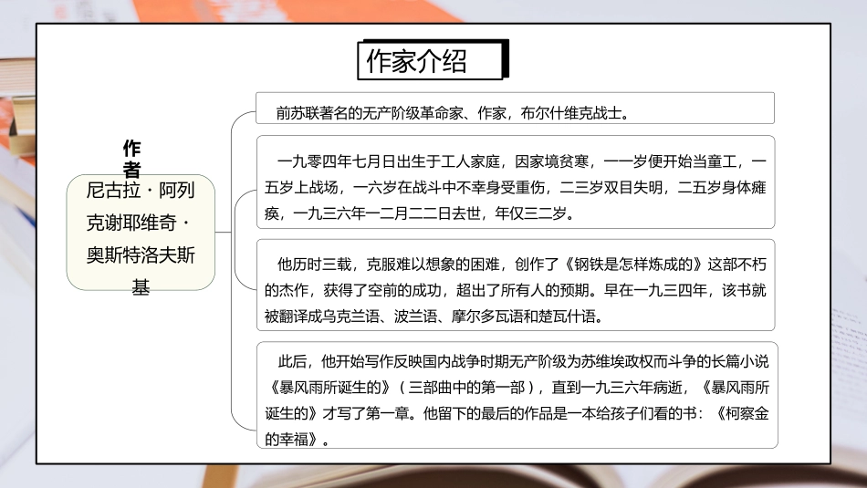 钢铁是怎样炼成的读书分享10(1).pptx_第3页