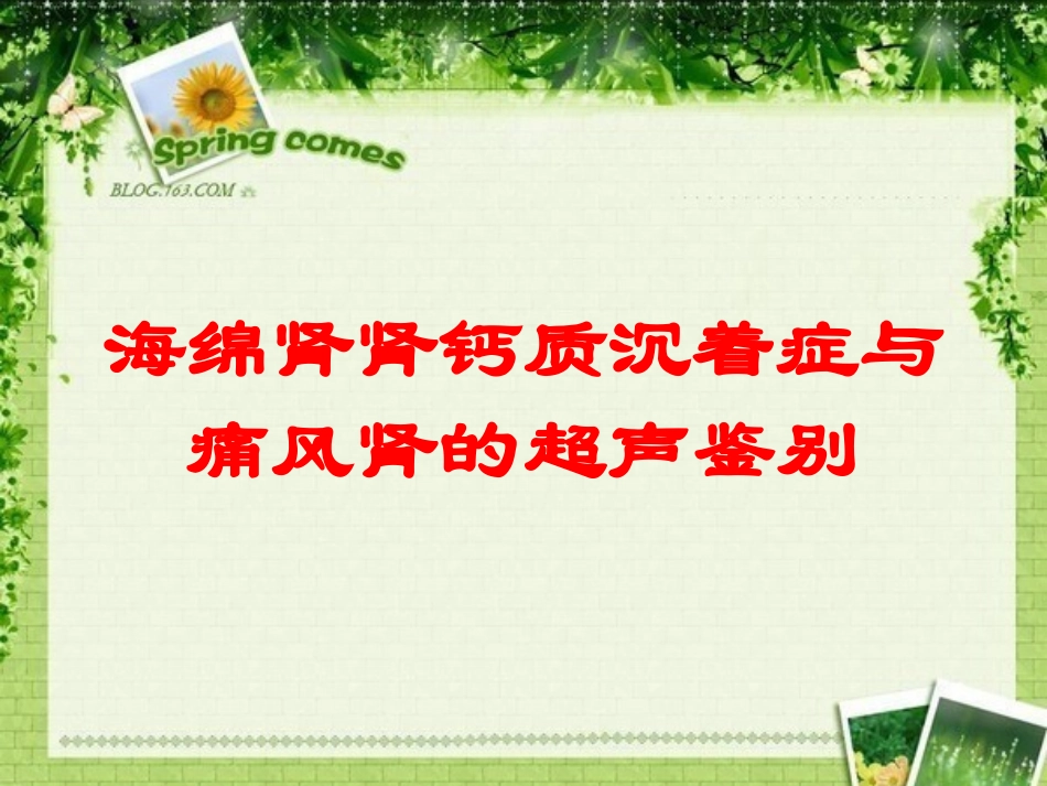 海绵肾肾钙质沉着症与痛风肾的超声鉴别培训课件.pptx_第1页