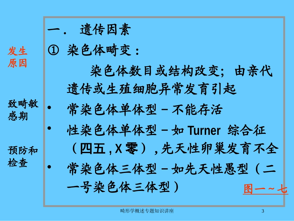 畸形学概述专题知识讲座培训课件.pptx_第3页