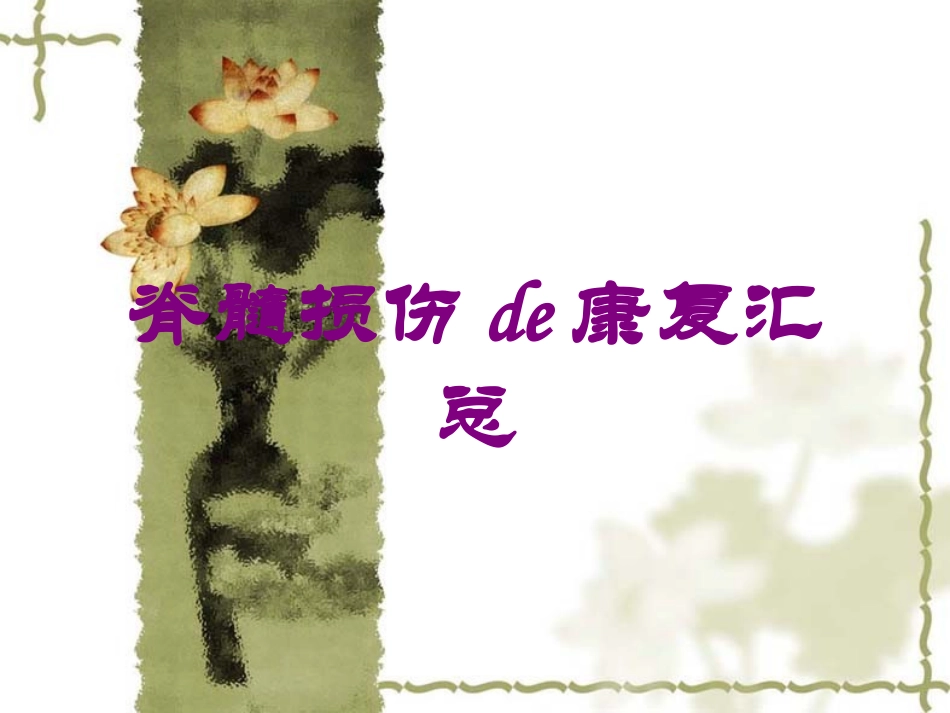 脊髓损伤的康复汇总培训课件.pptx_第1页