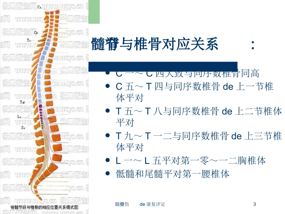 脊髓损伤的康复评定培训课件.pptx_第3页