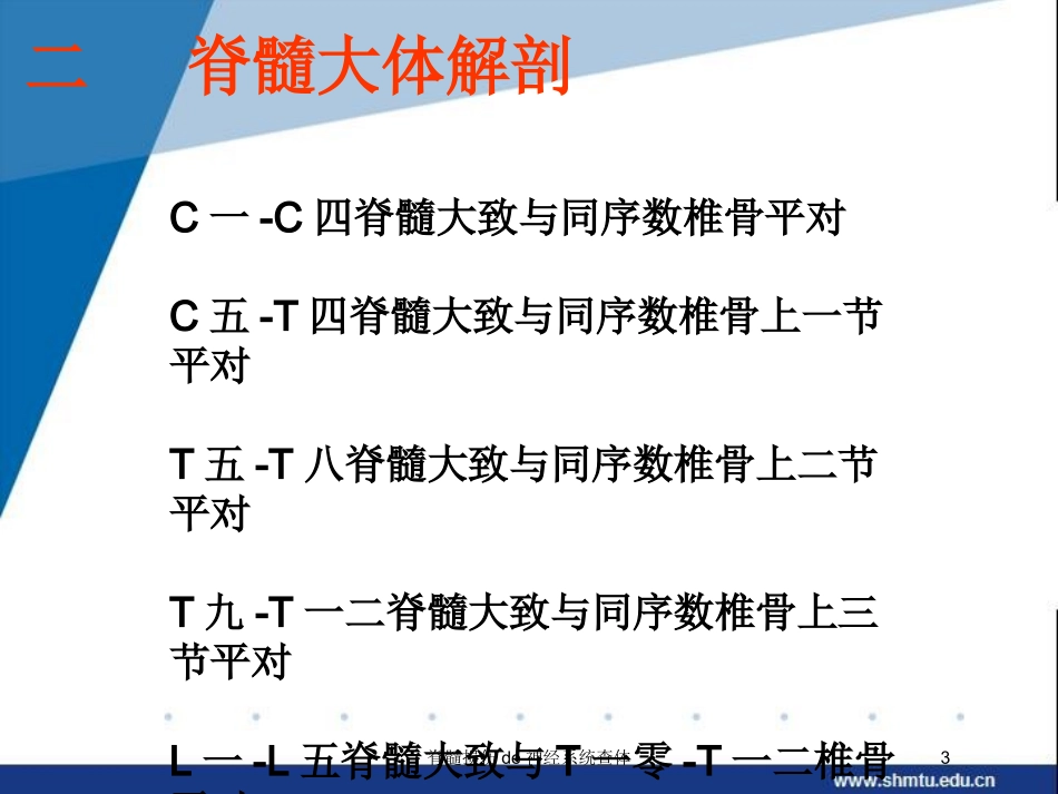 脊髓损伤的神经系统查体培训课件.pptx_第3页