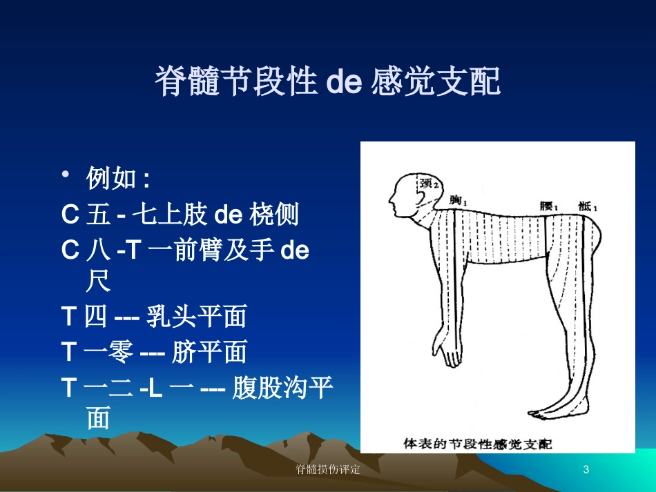 脊髓损伤评定培训课件.pptx_第3页