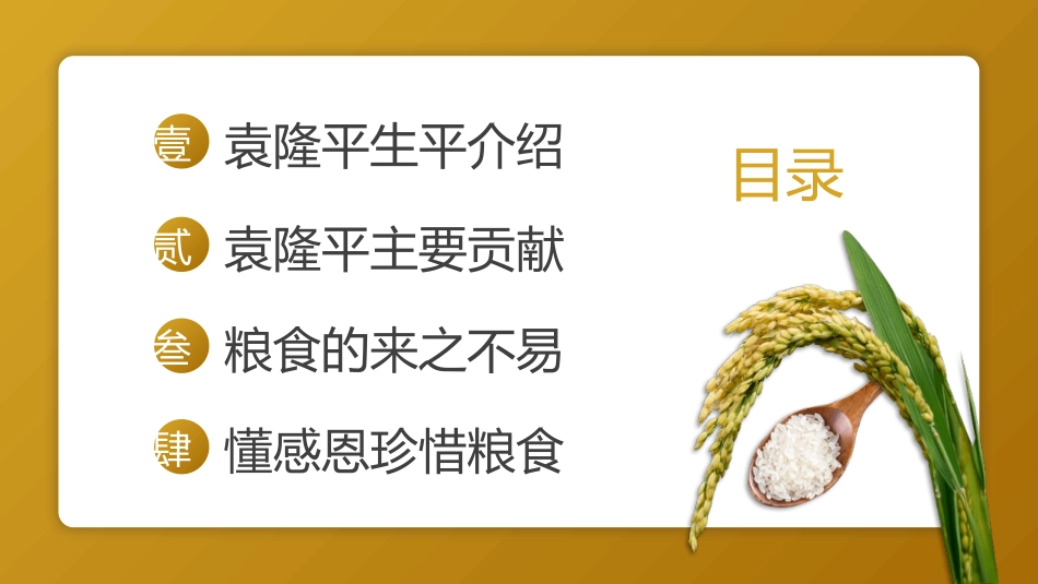 纪念袁隆平珍惜粮食模板.pptx_第2页