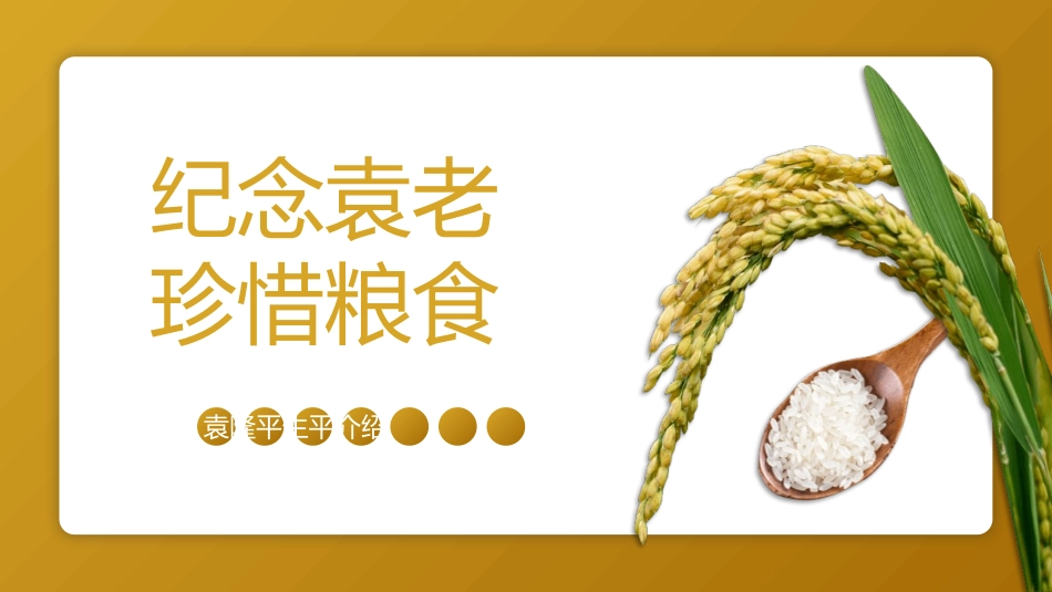 纪念袁隆平珍惜粮食模板.pptx_第3页