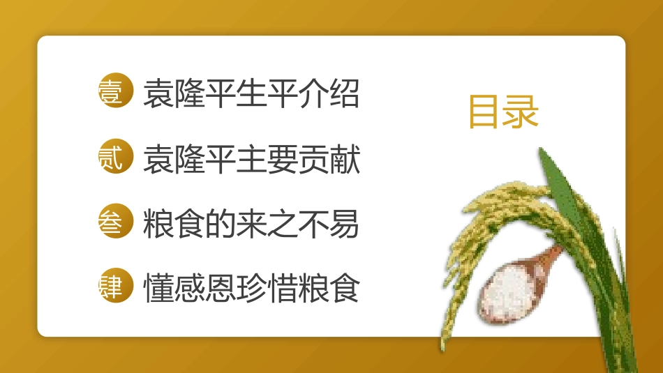 纪念杂交水稻之父袁隆平13.pptx_第2页