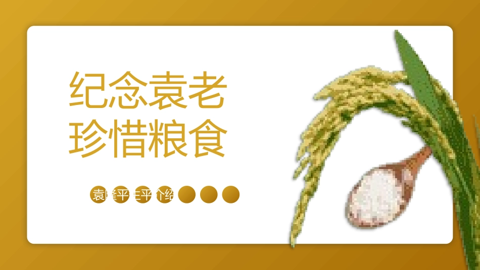 纪念杂交水稻之父袁隆平13.pptx_第3页