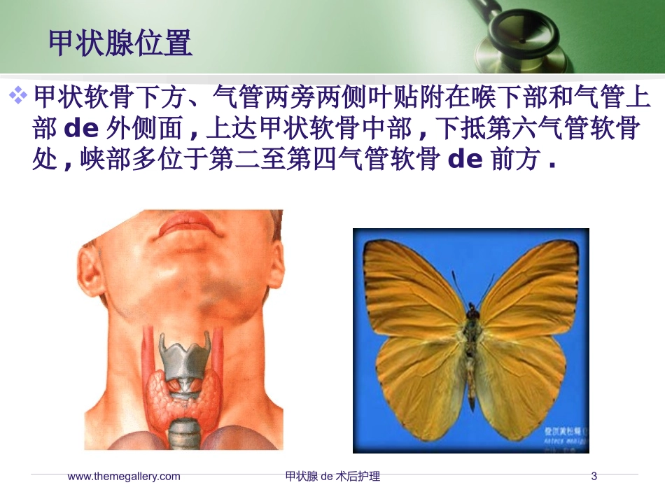 甲状腺的术后护理培训课件.pptx_第3页