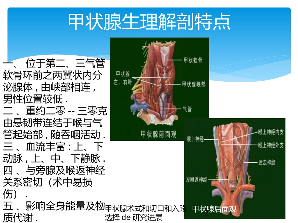 甲状腺术式和切口和入路选择的研究进展培训课件.pptx_第2页