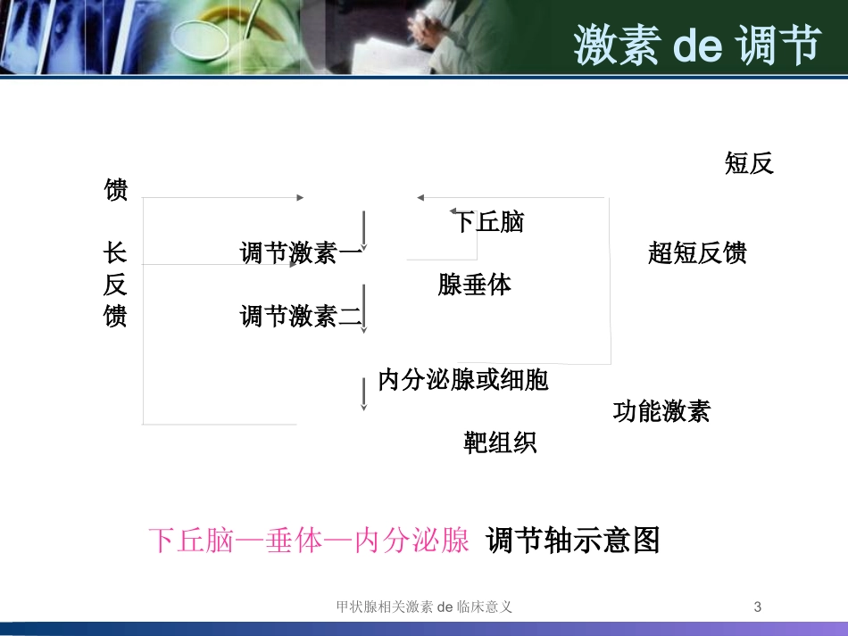 甲状腺相关激素的临床意义培训课件.pptx_第3页