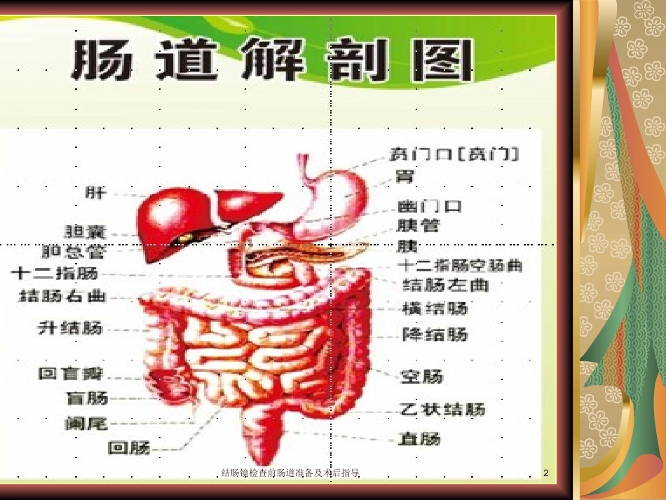 结肠镜检查前肠道准备及术后指导培训课件.pptx_第2页