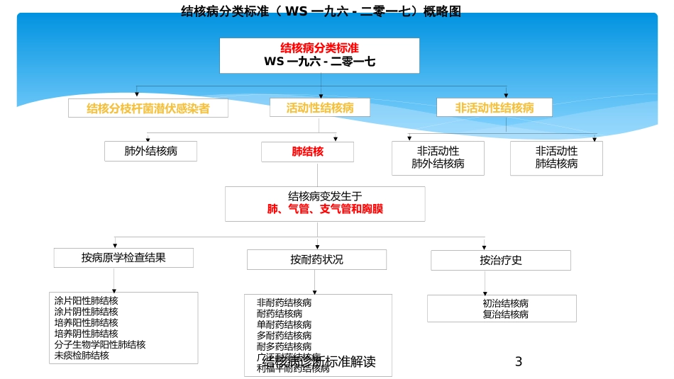 结核病诊断标准解读培训课件.pptx_第3页
