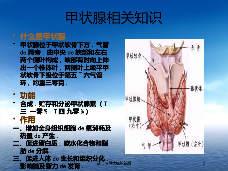 结节性甲状腺肿新版培训课件.pptx_第2页