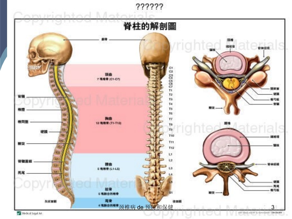 颈椎病的预防和保健培训课件.pptx_第3页