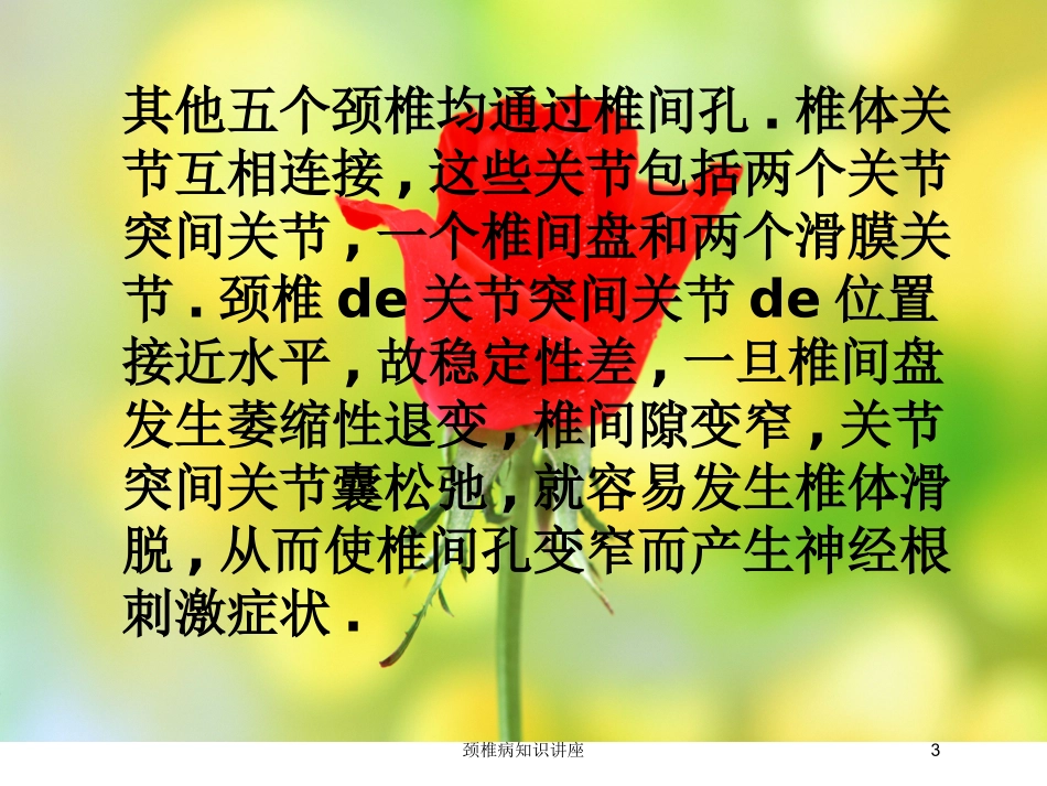颈椎病知识讲座培训课件.pptx_第3页