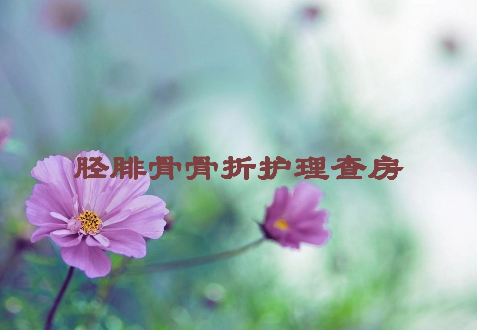 胫腓骨骨折护理查房培训课件.pptx_第1页