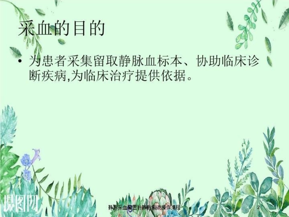 静脉采血留置针静脉输液操作流程培训课件.pptx_第2页