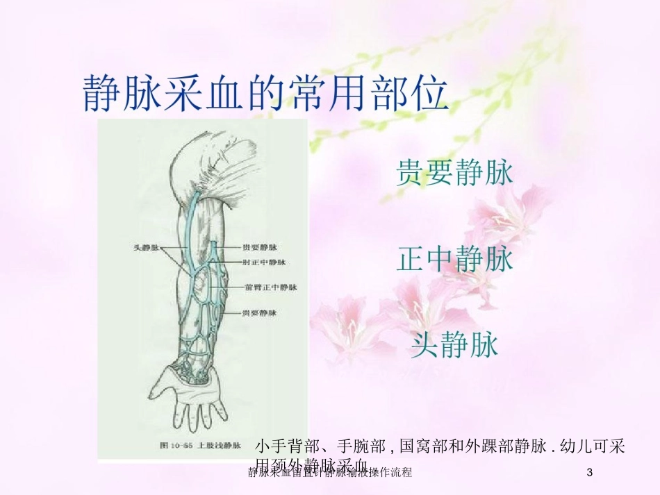 静脉采血留置针静脉输液操作流程培训课件.pptx_第3页