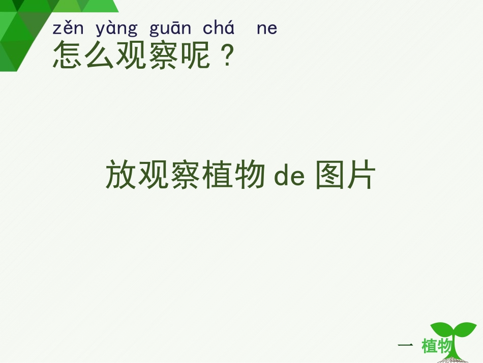 科版一年级科学上册《观察一棵植物》课件8.pptx_第2页