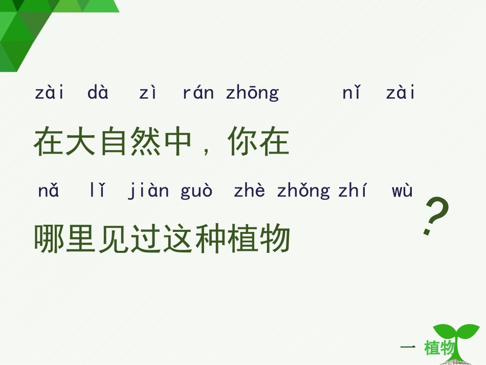 科版一年级科学上册《观察一棵植物》课件8.pptx_第3页