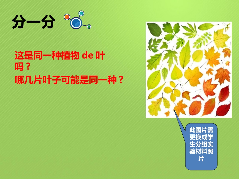 科版一年级科学上册《这是谁的叶_》教学课件7.pptx_第3页
