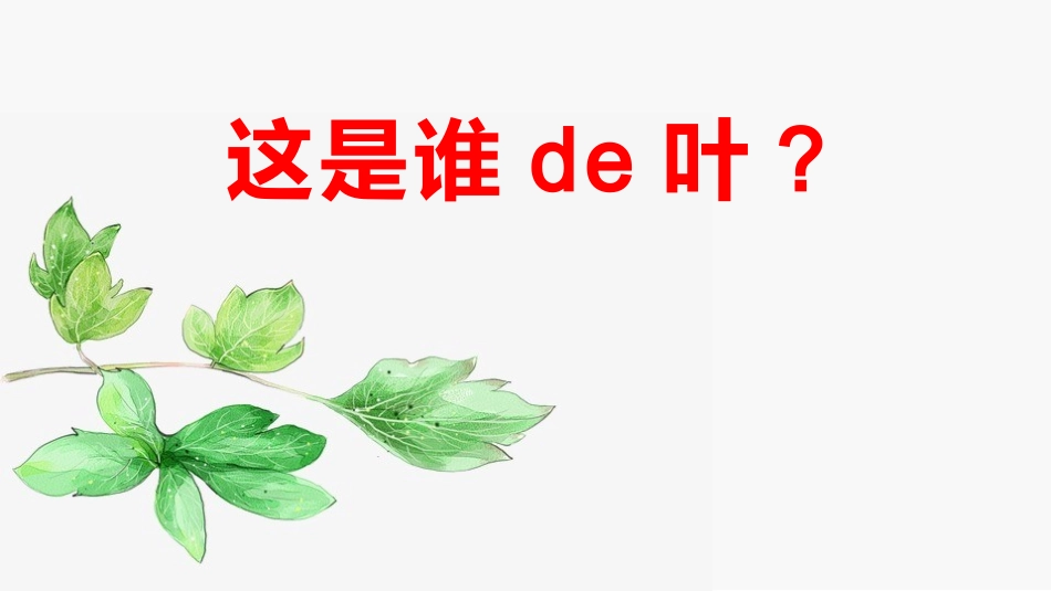 科版一年级科学上册《这是谁的叶_》教学课件8.pptx_第1页