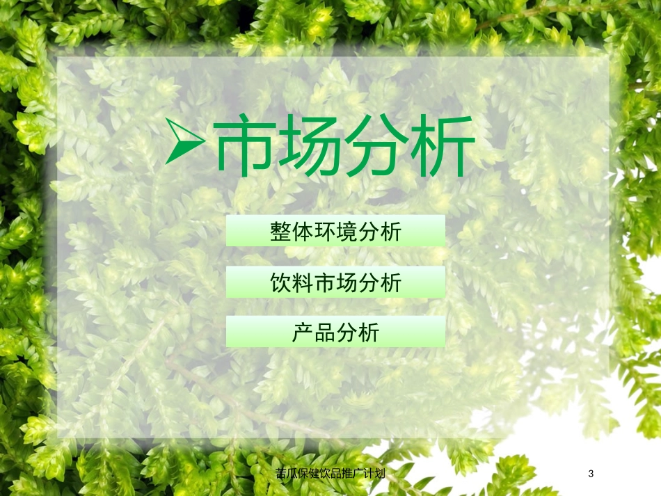 苦瓜保健饮品推广计划培训课件.pptx_第3页