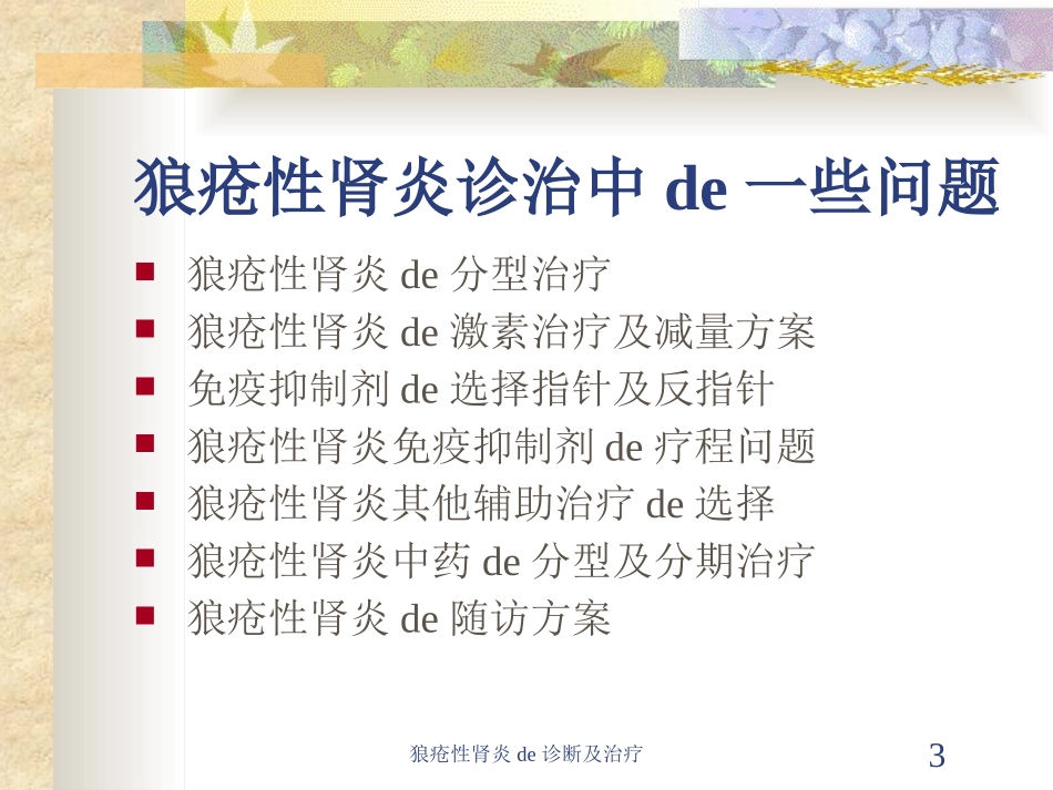 狼疮性肾炎的诊断及治疗培训课件.pptx_第3页