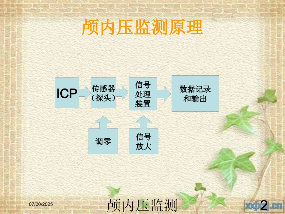 颅内压监测及护理培训课件.pptx_第2页