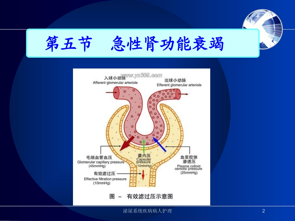 泌尿系统疾病病人护理培训课件.pptx_第2页
