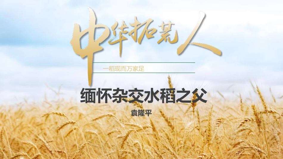 缅怀杂交水稻之父袁隆平模板.pptx_第1页