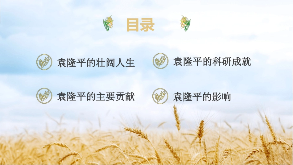 缅怀杂交水稻之父袁隆平模板.pptx_第2页