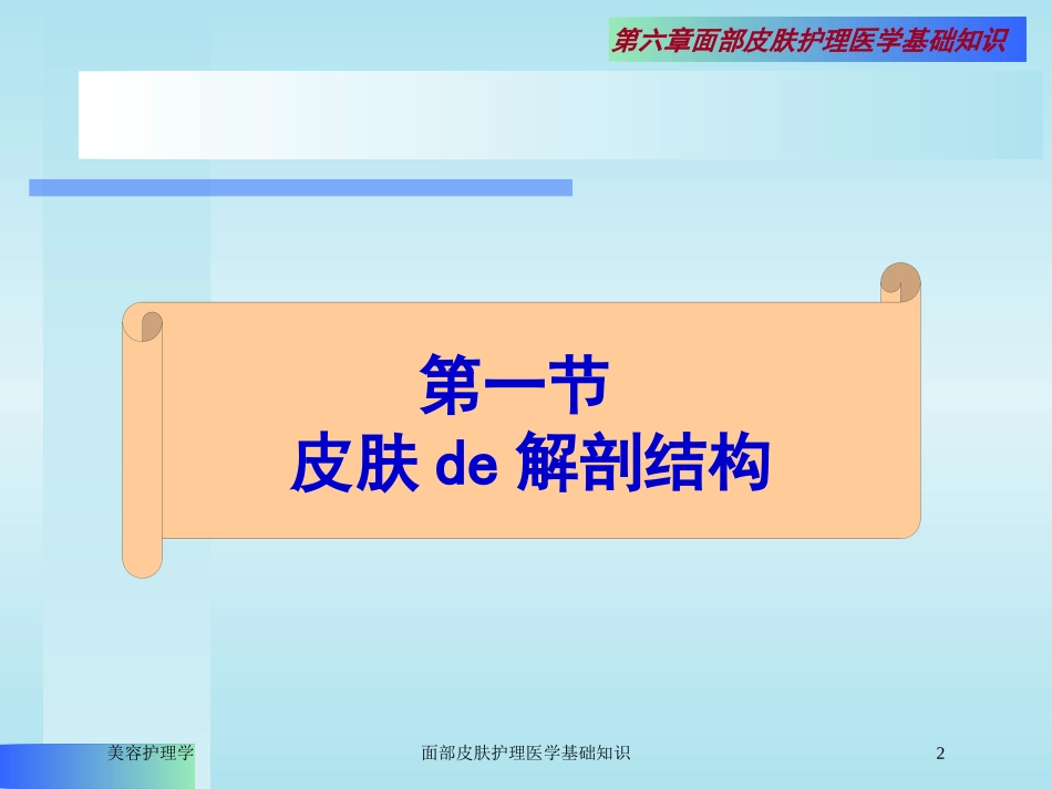面部皮肤护理医学基础知识培训课件.pptx_第2页