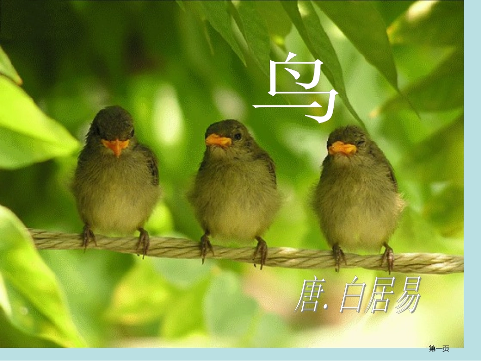 鸟诗般骨肉般皮白居易公开课获奖课件.pptx_第1页