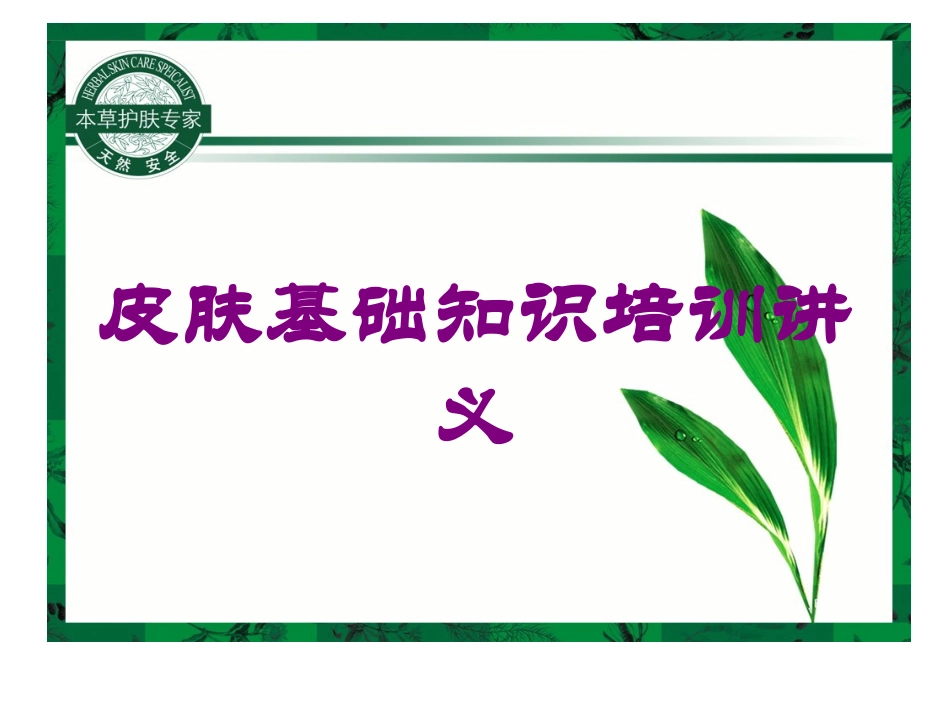 皮肤基础知识培训讲义培训课件.pptx_第1页