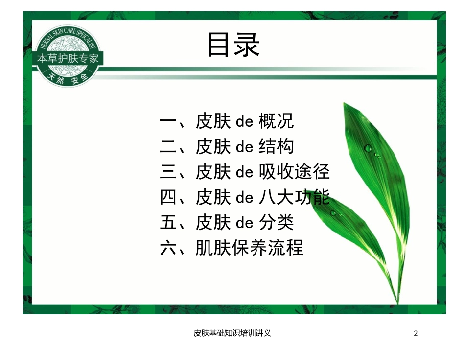 皮肤基础知识培训讲义培训课件.pptx_第2页