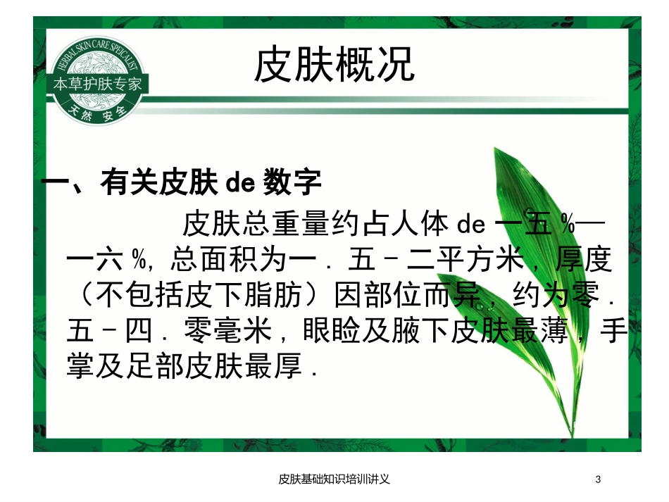 皮肤基础知识培训讲义培训课件.pptx_第3页