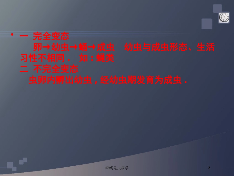 蜱螨昆虫病学培训课件.pptx_第3页