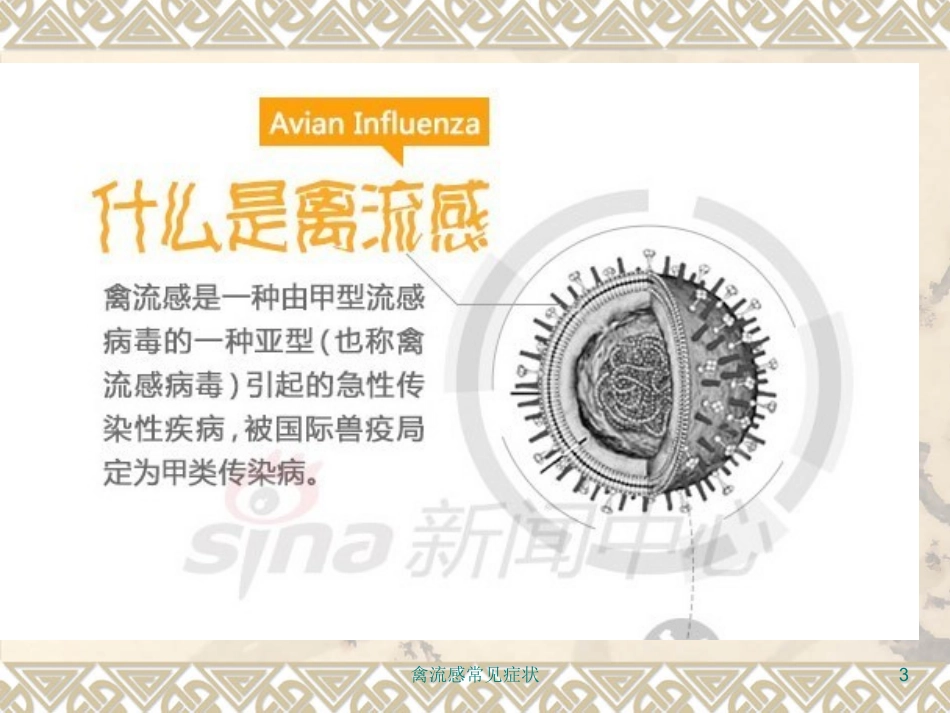 禽流感常见症状培训课件.pptx_第3页
