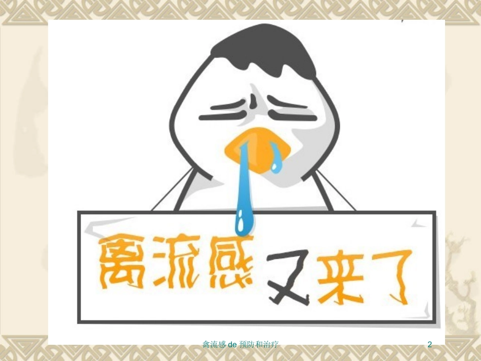 禽流感的预防和治疗培训课件.pptx_第2页