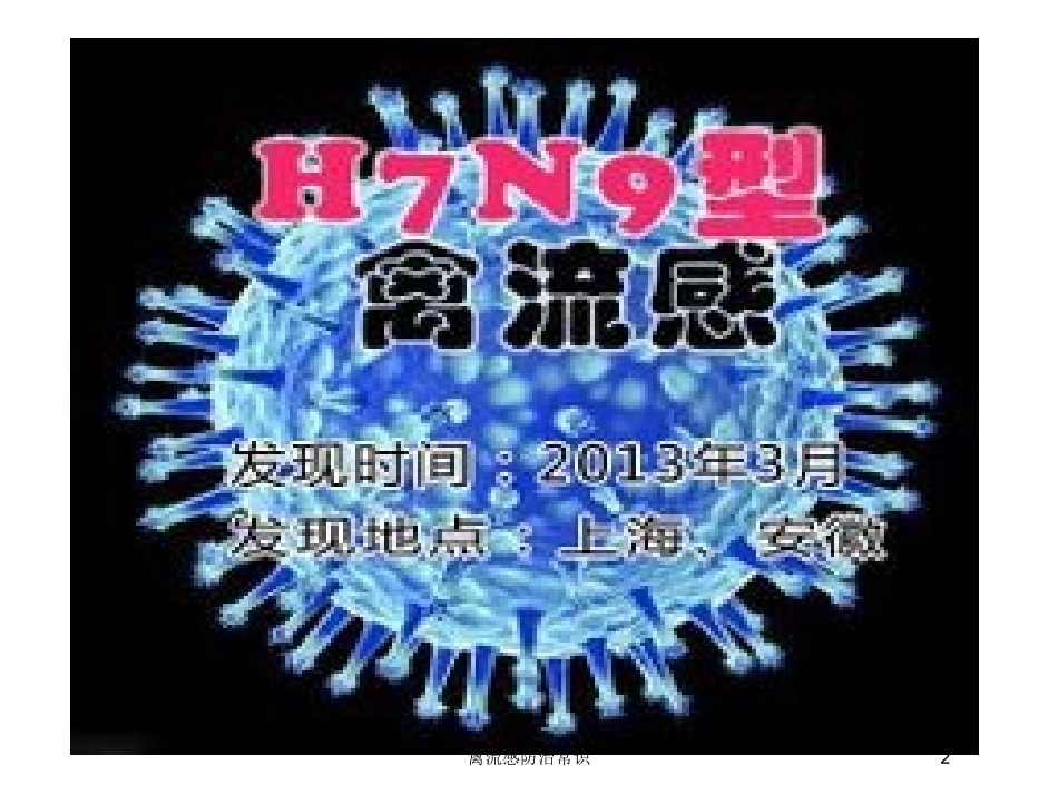 禽流感防治常识培训课件.pptx_第2页