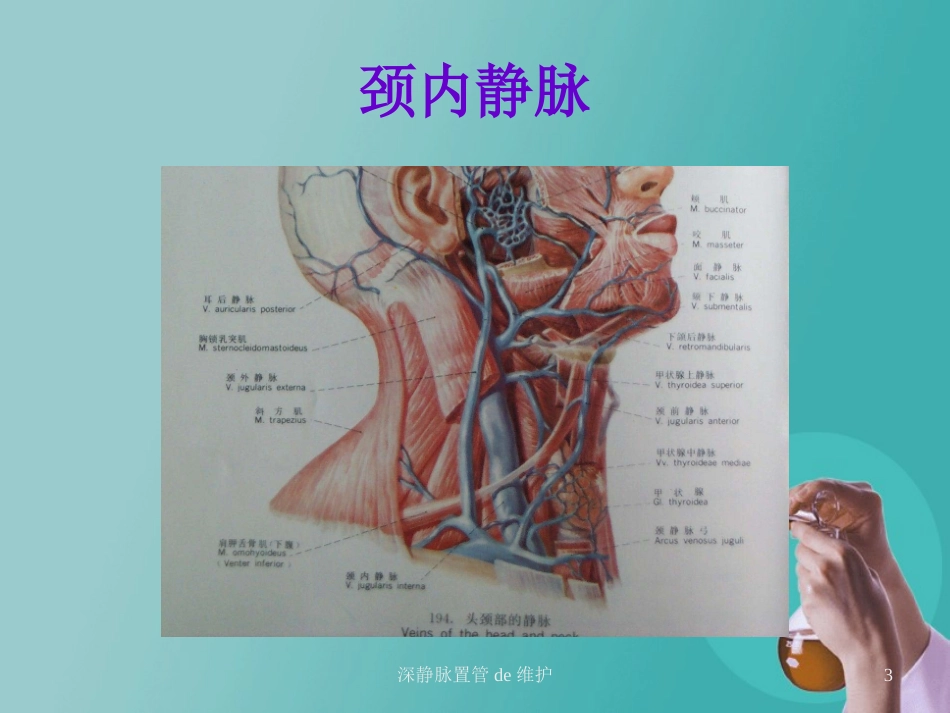 深静脉置管的维护培训课件.pptx_第3页