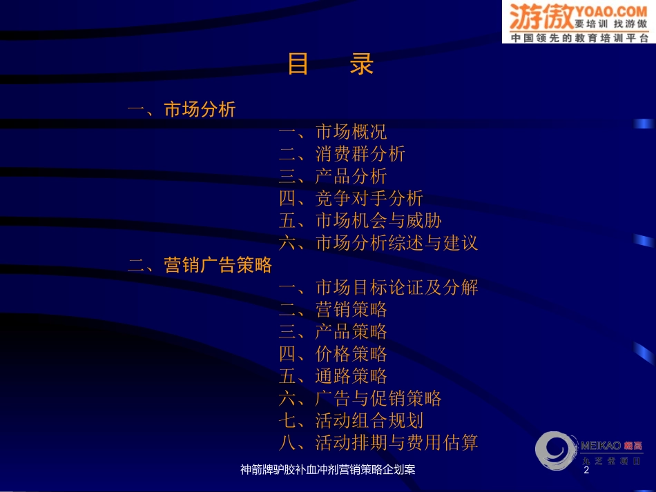 神箭牌驴胶补血冲剂营销策略企划案培训课件.pptx_第2页