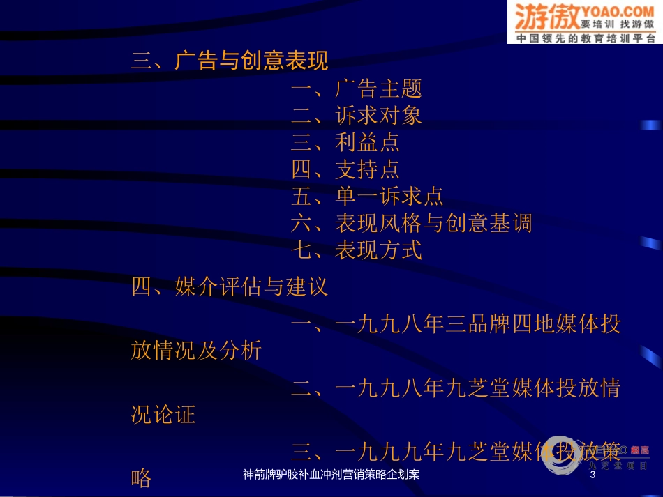 神箭牌驴胶补血冲剂营销策略企划案培训课件.pptx_第3页