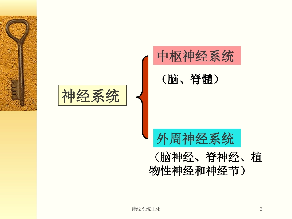 神经系统生化培训课件.pptx_第3页