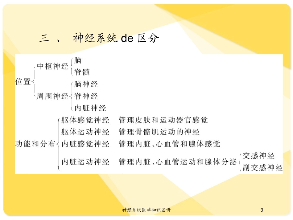 神经系统医学知识宣讲培训课件.pptx_第3页