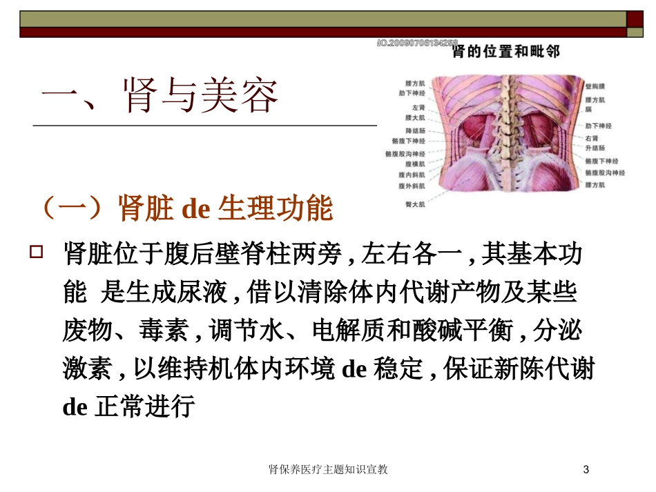 肾保养医疗主题知识宣教培训课件.pptx_第3页